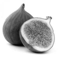 A Fig