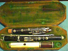 Ivory-Headed Flute