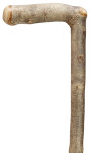 ashplant walking stick